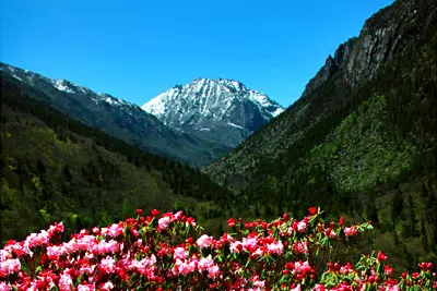 4 Days Sichuan Garze Private Tour To Yanzigou Valley, Moxi Ancient Town And Mugetso Lake