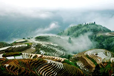 1 Day Guilin To Longsheng Longji Rice Terrace Field Tour