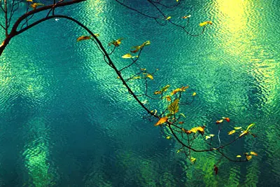 3 Days Guangzhou To Zhaoqing Private Tour