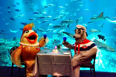 Half Day Private Hong Kong Ocean Park Tour