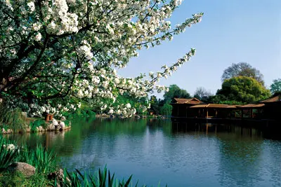 1 Day Picturesque Hangzhou Bus Tour to West Lake, Lingyin Temple and Six Harmonies Pagoda