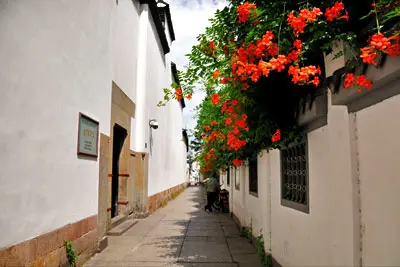 1 Day Hangzhou Culture Bus Tour to Leifeng Pagoda and Former Residence of Hu Xueyan