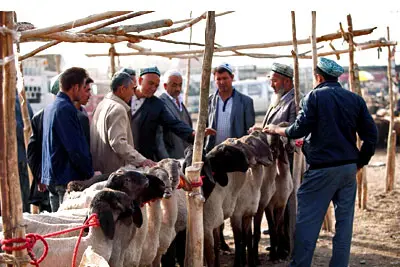 17 Days Silk Road Discovery to Urumqi, Kashgar, Turpan, Dunhuang, Jiayuguan, Xiahe and Xian