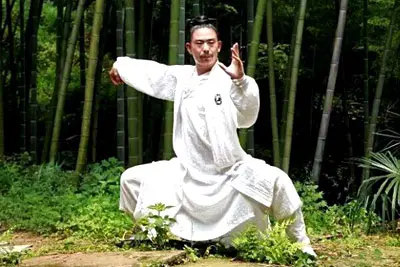 8 Days Mt. Wudang Sightseeing and Taichi Practice Tour