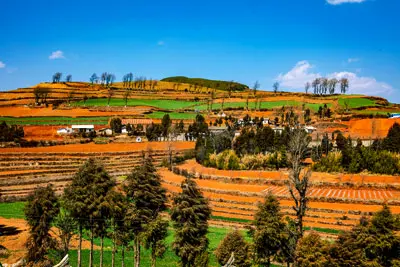12 Days Yunnan Photography Tour to Kunming, Dongchuan Red Land, Luoping, Stone Forest, Yuanyang Terrace and Jianshui