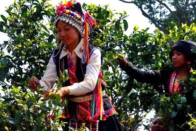 5 Days Xishuangbanna of Yunnan Highlights Tour