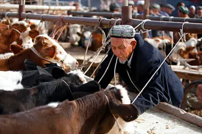 4 Days Kashgar Panorama Tour to Karakuri Lake, Apak Hoja Tomb, Id Kah Mosque, Terraced Households and Sunday Bazaar