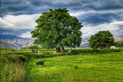 8 Day Yunnan Join-in tour include Kunming, Dali, Lijiang and Shangri-la