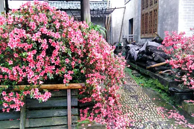 Danzhou Ancient Town