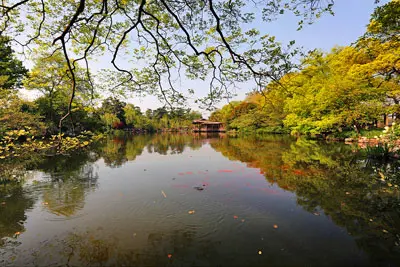 Viewing Fish at Flower Harbor