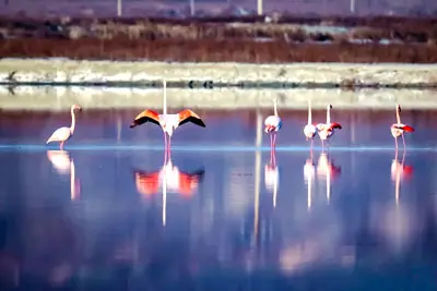 7 Days Shanxi photographer Tour to Yuncheng, Linfen and Pingyao