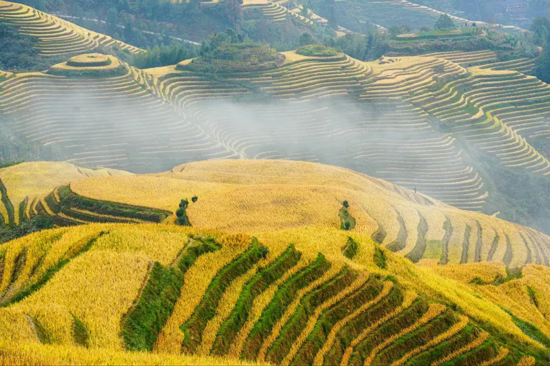 5 days Longji and Yangshuo Comfortable Relaxing Tour