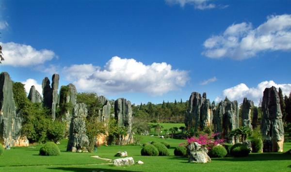 Stone Forest