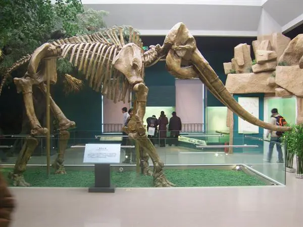 Gansu Provincial Museum