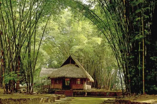 Mengbanaxi Exotic Garden