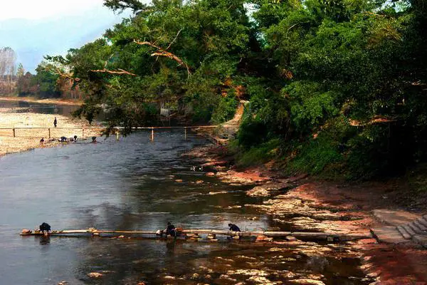 Age old Banyan Trees Group