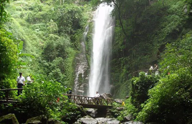 Moli Tropical Rainforest Scenic Area